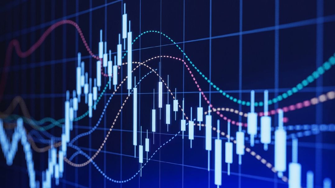 Wzrost o ponad 18% - TOYA publikuje raport sprzedażowy za pierwszy kwartał 2025 roku